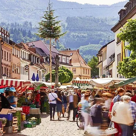 Hotel Designhotel Kronjuwel Waldkirch